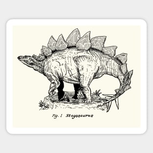 Figure One: Stegosaurus Magnet